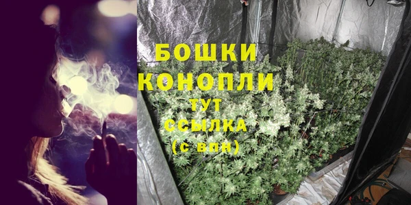 шишки Абинск