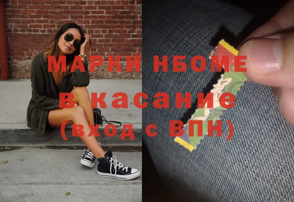 гидра Покачи
