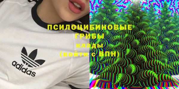 мескалин Переславль-Залесский