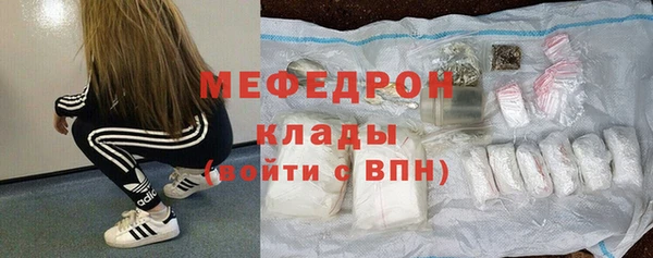 гидра Покачи