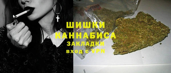 шишки Абинск