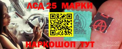 шишки Моздок