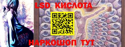 шишки Моздок