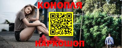 шишки Моздок